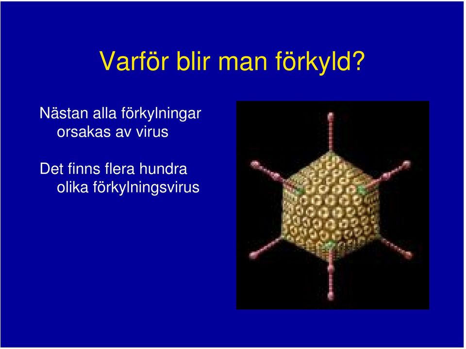 orsakas av virus Det finns