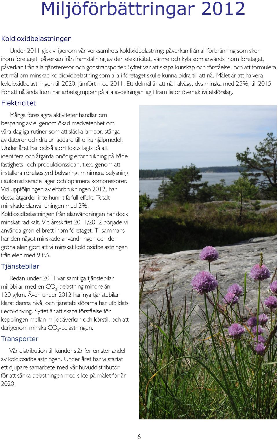 Syftet var att skapa kunskap och förståelse, och att formulera ett mål om minskad koldioxidbelastning som alla i företaget skulle kunna bidra till att nå.