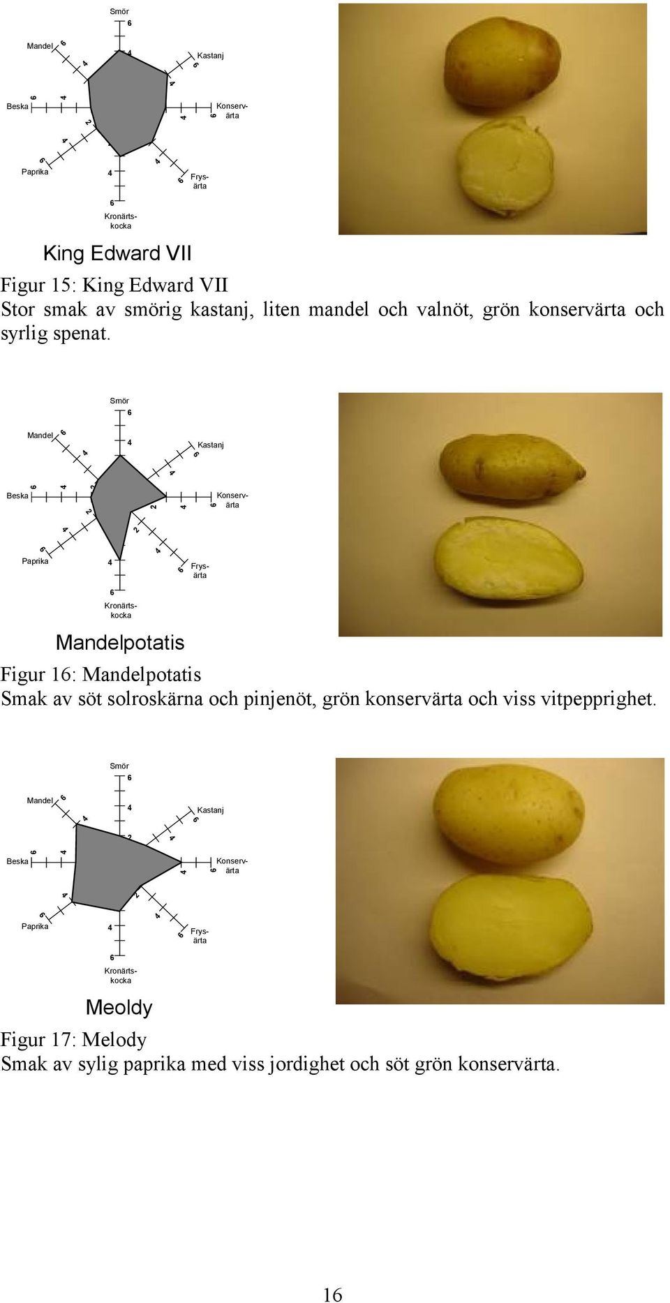 potatis Figur 1: potatis Smak av söt solroskärna och pinjenöt, grön konservärta