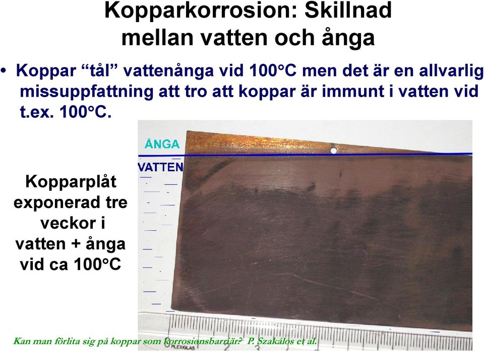 missuppfattning att tro att koppar är immunt i vatten vid