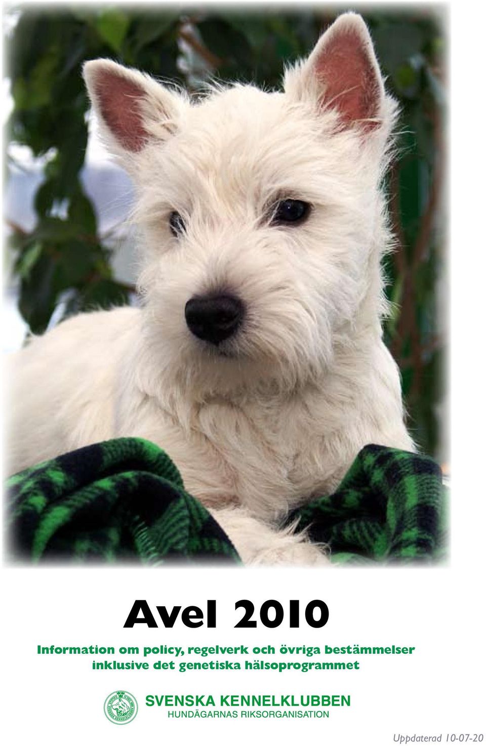 bestämmelser inklusive det