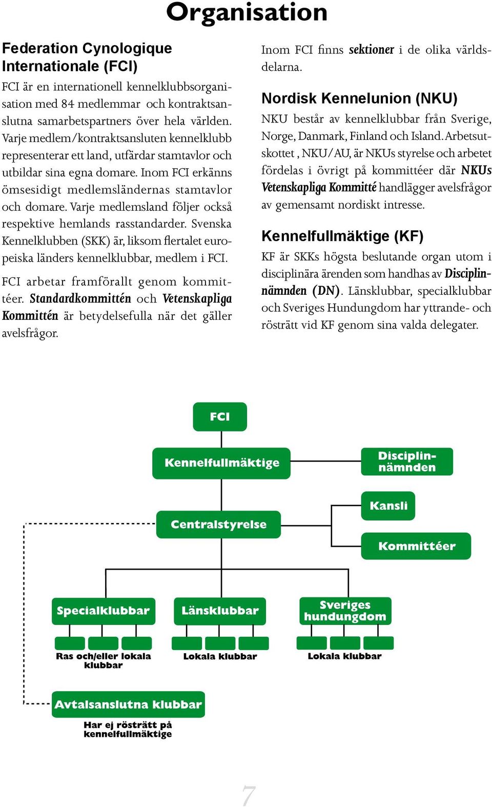 Varje medlemsland följer också respektive hemlands rasstandarder. Svenska Kennelklubben (SKK) är, liksom flertalet europeiska länders kennelklubbar, medlem i FCI.