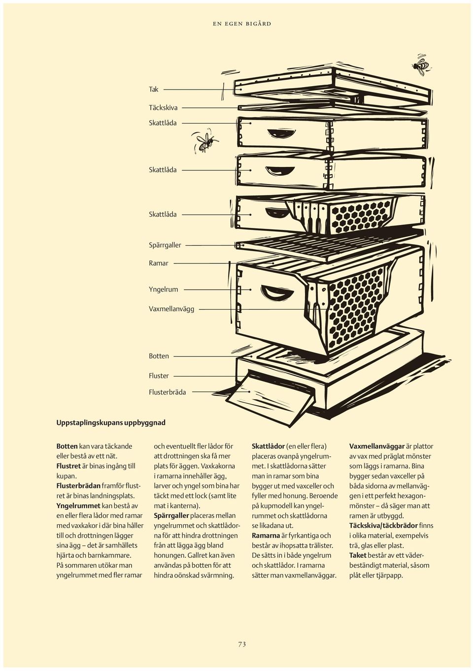 Yngelrummet kan bestå av en eller flera lådor med ramar med vaxkakor i där bina håller till och drottningen lägger sina ägg det är samhällets hjärta och barnkammare.
