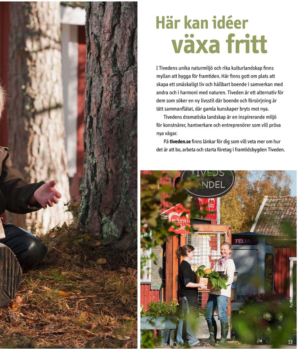 Tiveden är ett alternativ för dem som söker en ny livsstil där boende och försörjning är tätt sammanflätat, där gamla kunskaper bryts mot nya.
