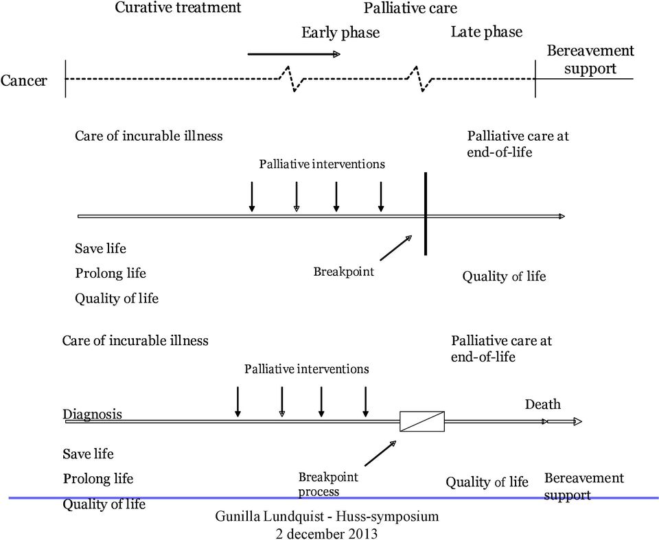 of life Care of incurable illness Palliative interventions Palliative care at end-of-life Diagnosis Death Save