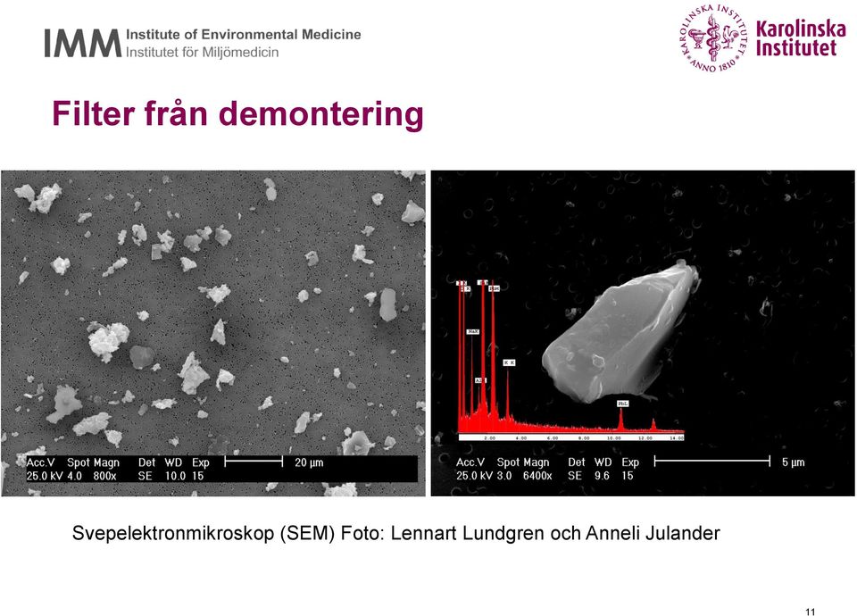 (SEM) Foto: Lennart