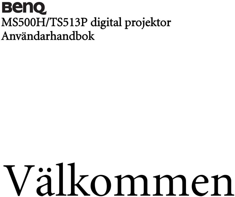 projektor