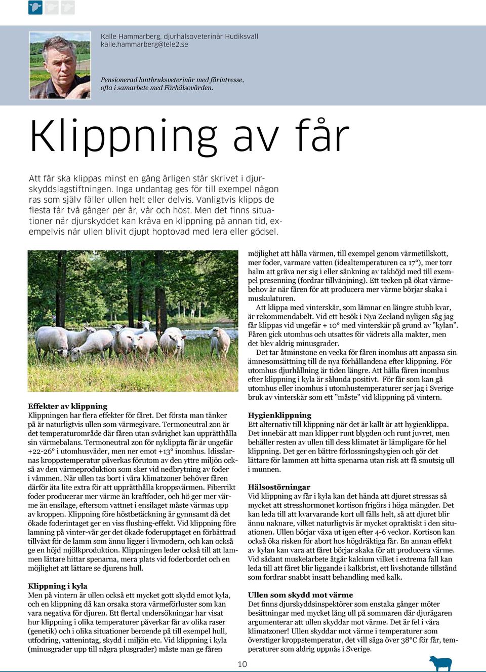 Vanligtvis klipps de flesta får två gånger per år, vår och höst.