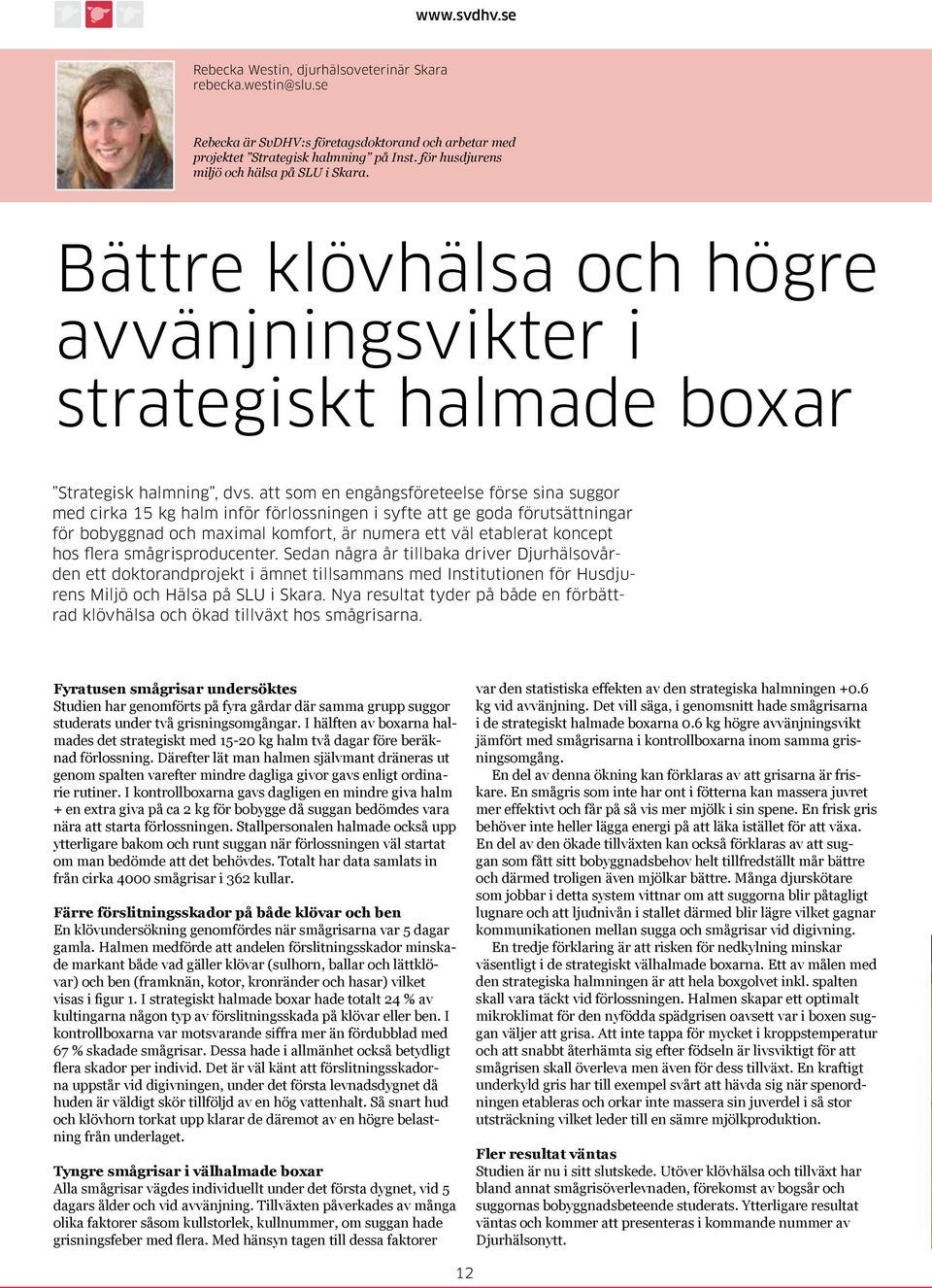 att som en engångsföreteelse förse sina suggor med cirka 15 kg halm inför förlossningen i syfte att ge goda förutsättningar för bobyggnad och maximal komfort, är numera ett väl etablerat koncept hos