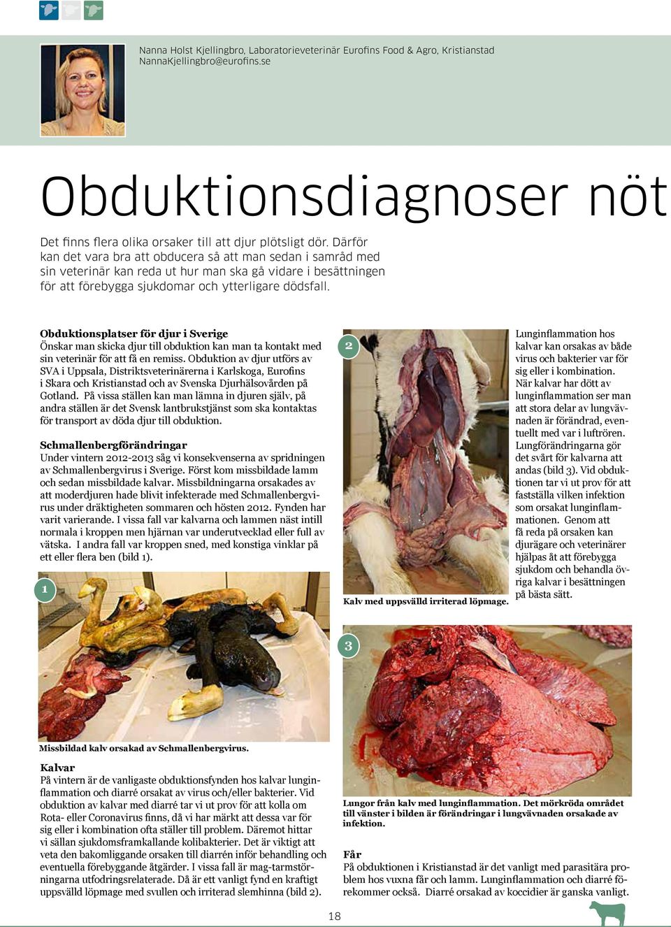 Obduktionsplatser för djur i Sverige Önskar man skicka djur till obduktion kan man ta kontakt med sin veterinär för att få en remiss.