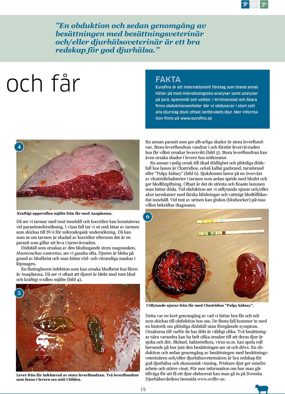 I Kristianstad och Skara finns obduktionsenheter där vi obducerar i stort sett alla djurslag dock oftast lantbrukets djur. Mer information finns på www.eurofins.
