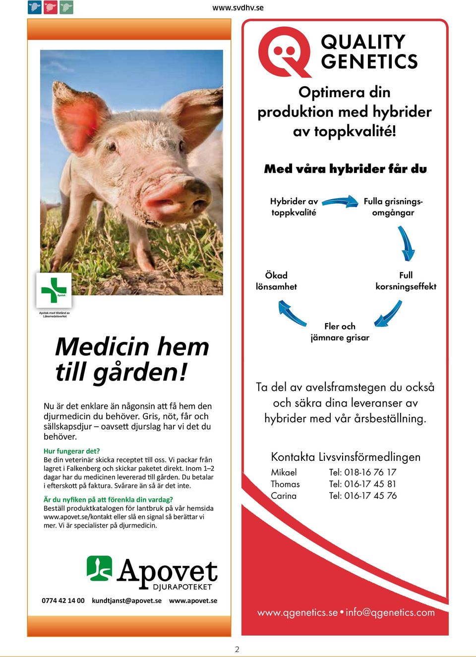 Gris, nöt, får och sällskapsdjur oavsett djurslag sällskapsdjur har vi det Optimera oavsett du djurslag din har vi det du behöver. behöver. Hur fungerar det?