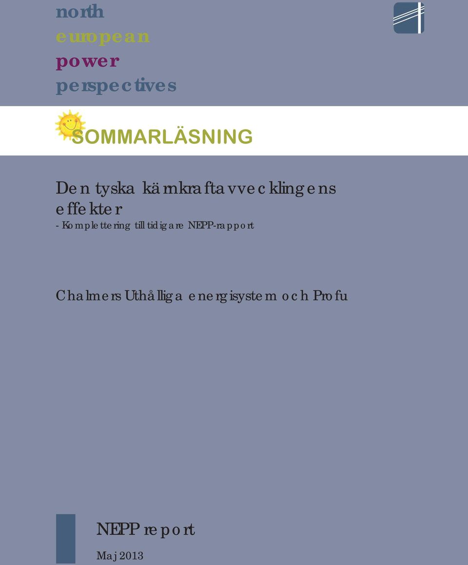 Komplettering till tidigare NEPP-rapport