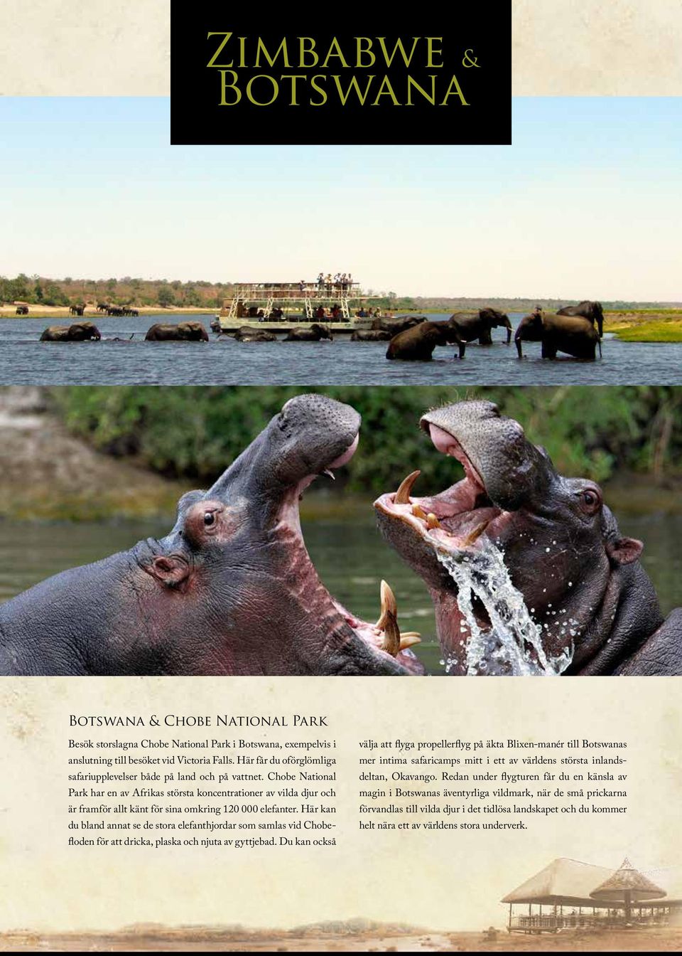 Chobe National Park har en av Afrikas största koncentrationer av vilda djur och är framför allt känt för sina omkring 120 000 elefanter.