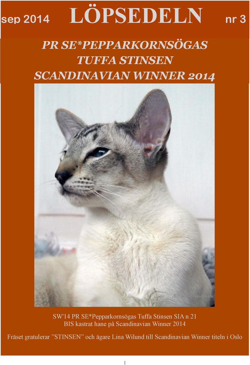 SIA n 21 BIS kastrat hane på Scandinavian Winner 2014 Fräset