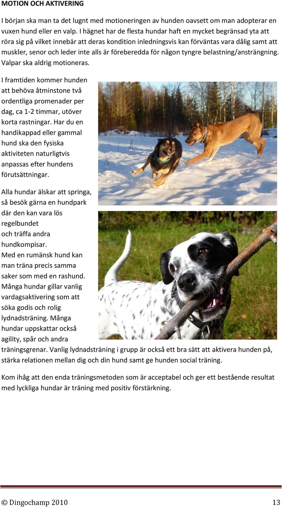 föreberedda för någon tyngre belastning/ansträngning. Valpar ska aldrig motioneras.