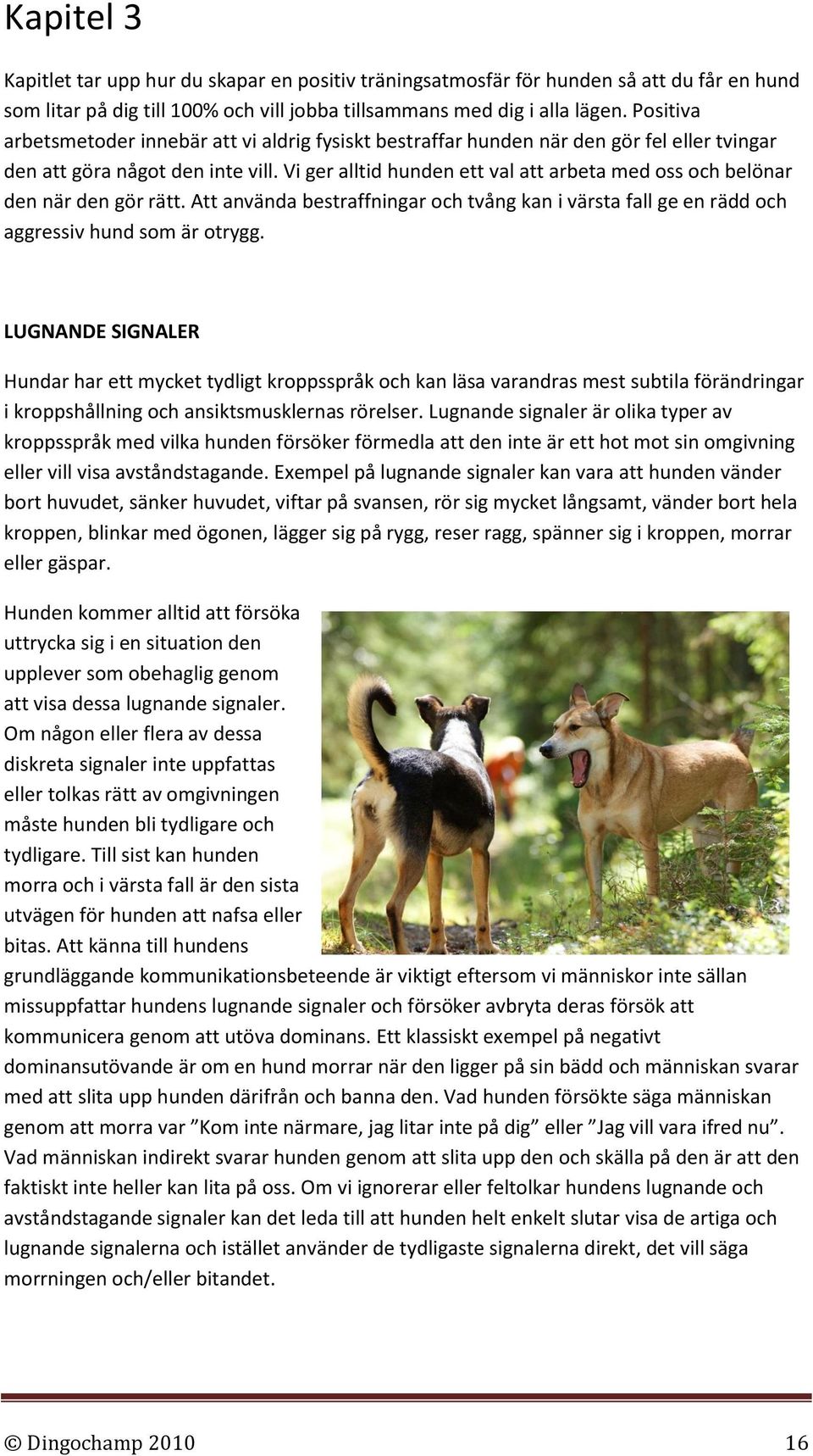 Vi ger alltid hunden ett val att arbeta med oss och belönar den när den gör rätt. Att använda bestraffningar och tvång kan i värsta fall ge en rädd och aggressiv hund som är otrygg.