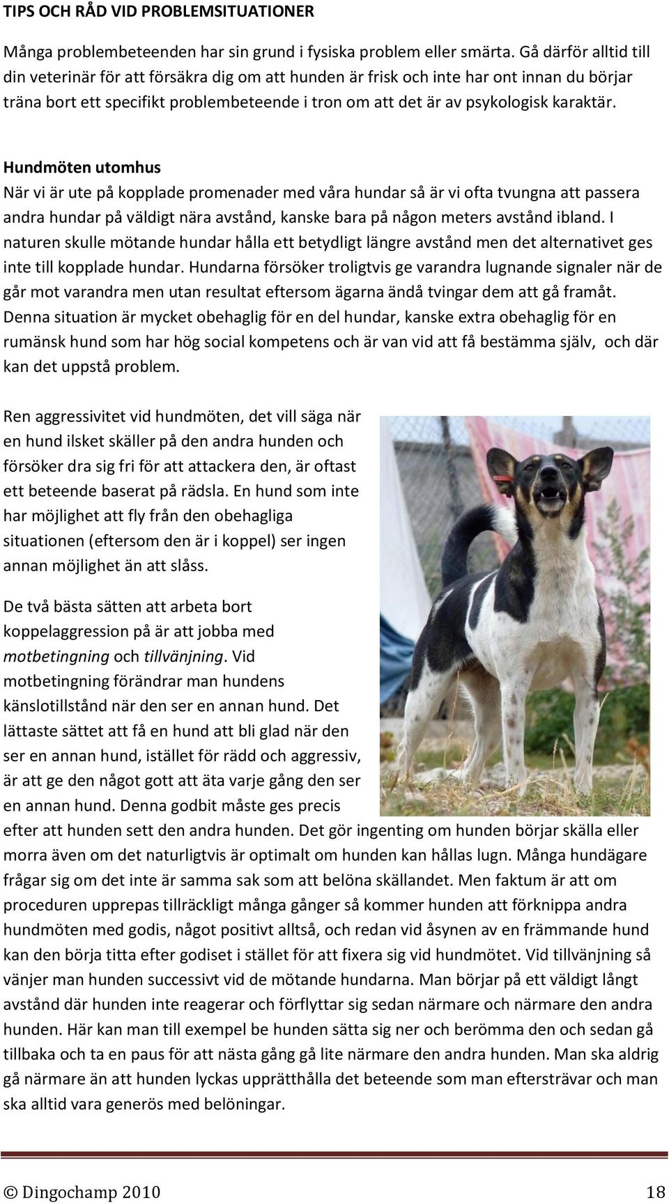 Hundmöten utomhus När vi är ute på kopplade promenader med våra hundar så är vi ofta tvungna att passera andra hundar på väldigt nära avstånd, kanske bara på någon meters avstånd ibland.