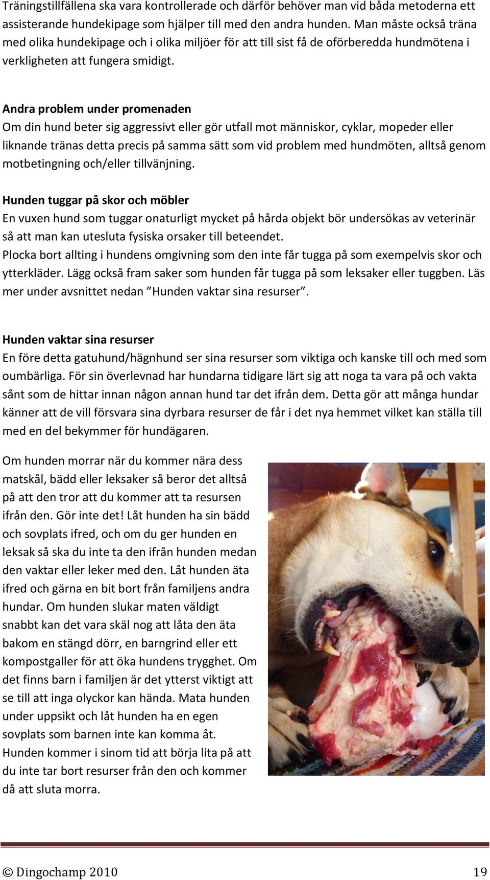 Andra problem under promenaden Om din hund beter sig aggressivt eller gör utfall mot människor, cyklar, mopeder eller liknande tränas detta precis på samma sätt som vid problem med hundmöten, alltså