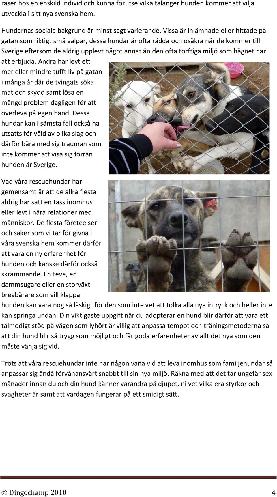 som hägnet har att erbjuda. Andra har levt ett mer eller mindre tufft liv på gatan i många år där de tvingats söka mat och skydd samt lösa en mängd problem dagligen för att överleva på egen hand.