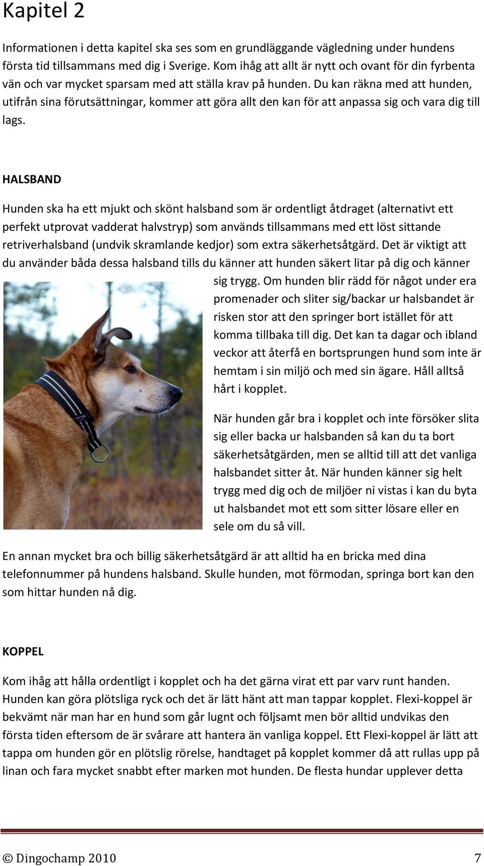 Du kan räkna med att hunden, utifrån sina förutsättningar, kommer att göra allt den kan för att anpassa sig och vara dig till lags.