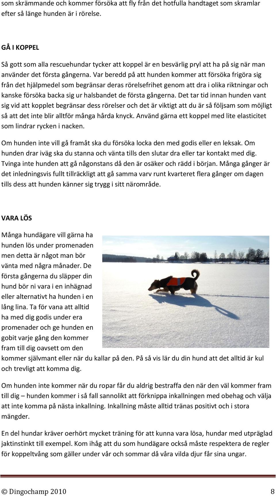 Var beredd på att hunden kommer att försöka frigöra sig från det hjälpmedel som begränsar deras rörelsefrihet genom att dra i olika riktningar och kanske försöka backa sig ur halsbandet de första