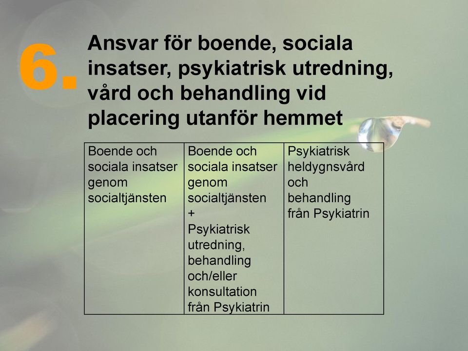 och sociala insatser genom socialtjänsten + Psykiatrisk utredning, behandling