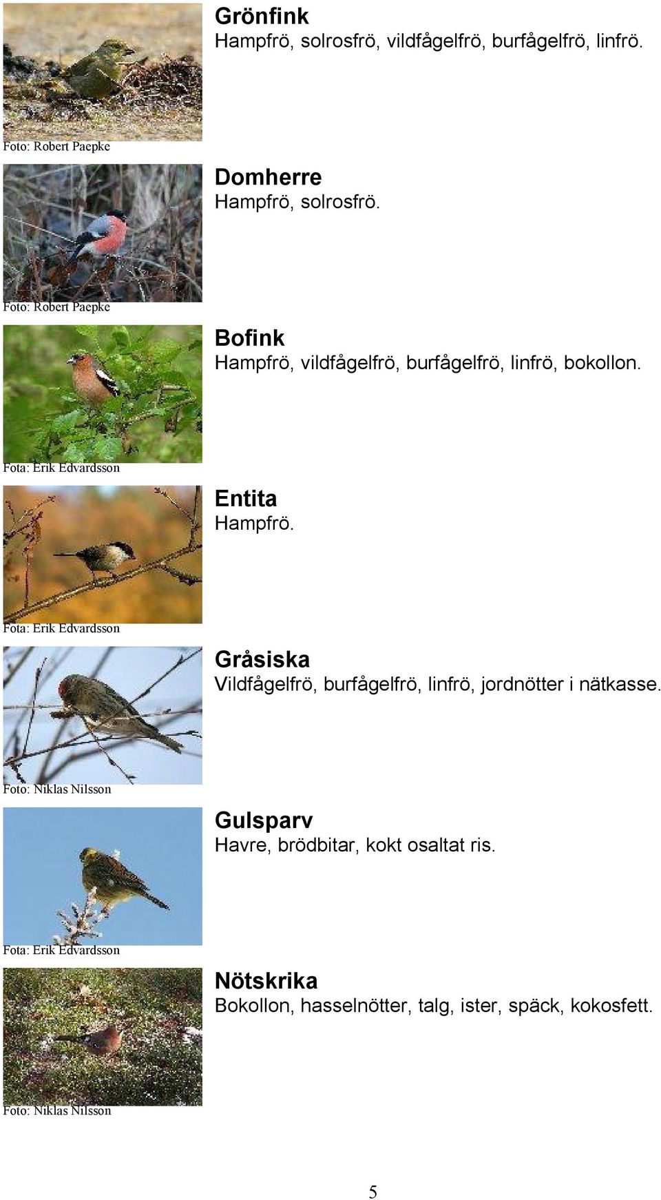 Fota: Erik Edvardsson Gråsiska Vildfågelfrö, burfågelfrö, linfrö, jordnötter i nätkasse.