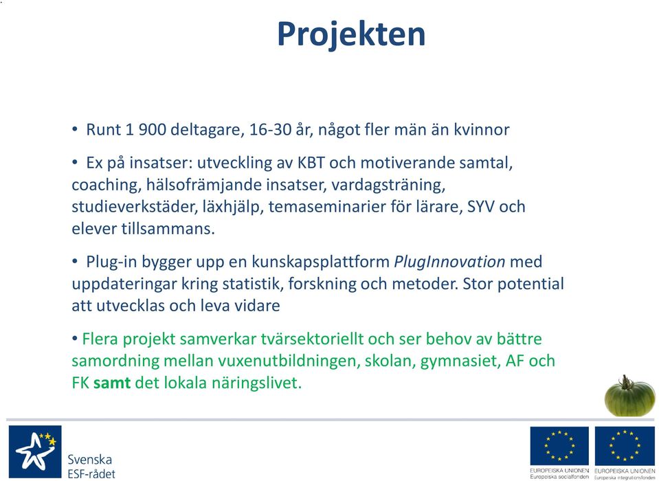 Plug-in bygger upp en kunskapsplattform PlugInnovation med uppdateringar kring statistik, forskning och metoder.