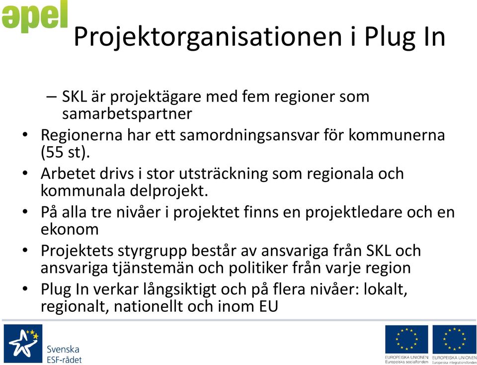 På alla tre nivåer i projektet finns en projektledare och en ekonom Projektets styrgrupp består av ansvariga från SKL och