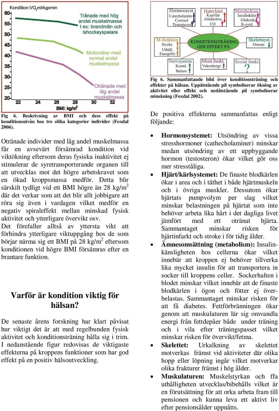 Otränade individer med låg andel muskelmassa får en avsevärt försämrad kondition vid viktökning eftersom deras fysiska inaktivitet ej stimulerar de syretransporterande organen till att utvecklas mot