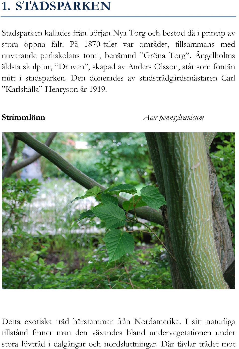 Ängelholms äldsta skulptur, Druvan, skapad av Anders Olsson, står som fontän mitt i stadsparken.