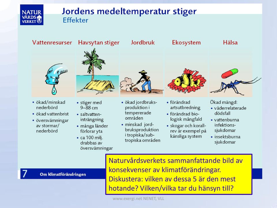 Diskustera: vilken av dessa 5 är den