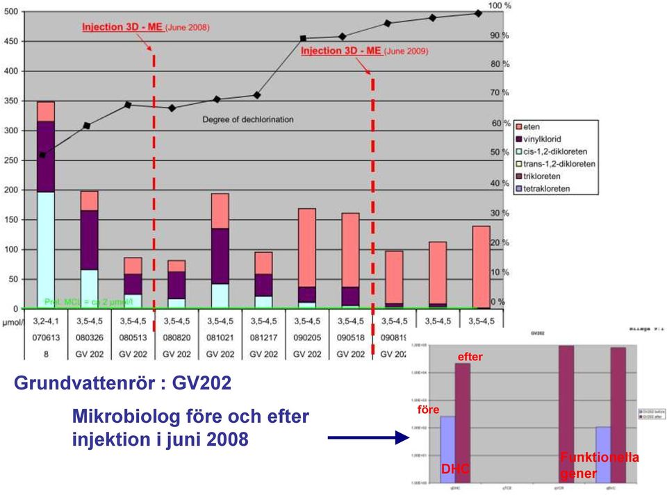 injektion i juni 2008 före