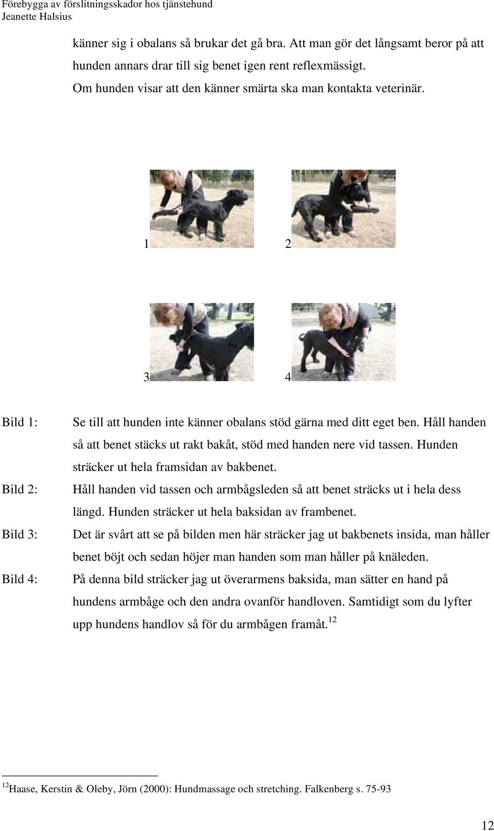 Håll handen så att benet stäcks ut rakt bakåt, stöd med handen nere vid tassen. Hunden sträcker ut hela framsidan av bakbenet.