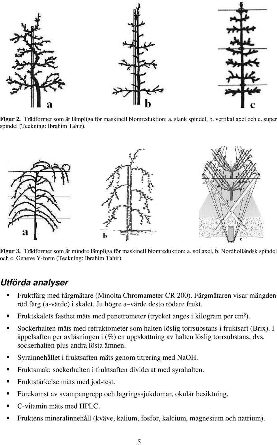 Utförda analyser Fruktfärg med färgmätare (Minolta Chromameter CR 200). Färgmätaren visar mängden röd färg (a-värde) i skalet. Ju högre a värde desto rödare frukt.
