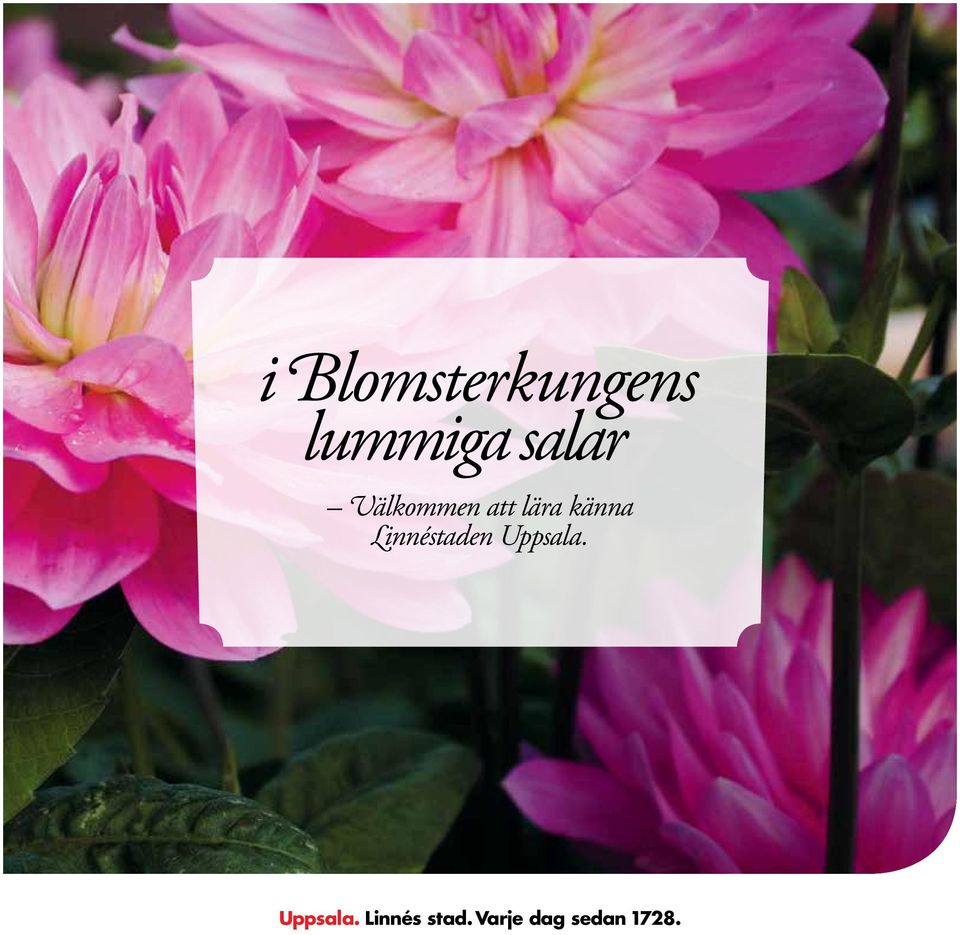 känna Linnéstaden Uppsala.