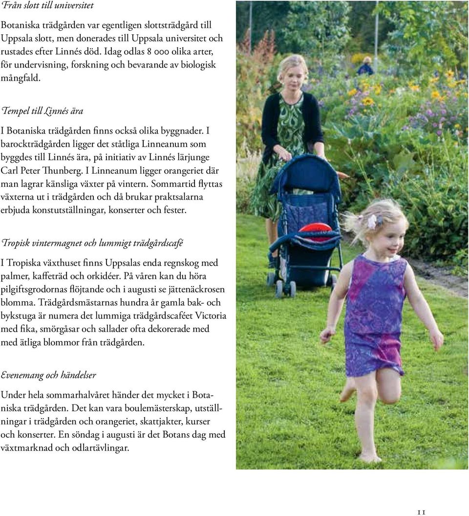 I barockträdgården ligger det ståtliga Linneanum som byggdes till Linnés ära, på initiativ av Linnés lärjunge Carl Peter Thunberg.
