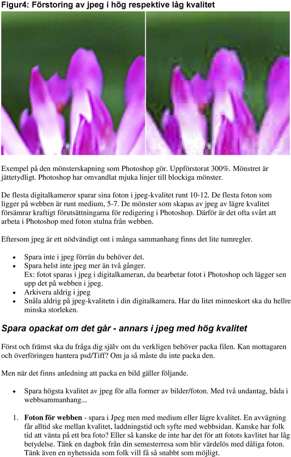 De mönster som skapas av jpeg av lägre kvalitet försämrar kraftigt förutsättningarna för redigering i Photoshop. Därför är det ofta svårt att arbeta i Photoshop med foton stulna från webben.