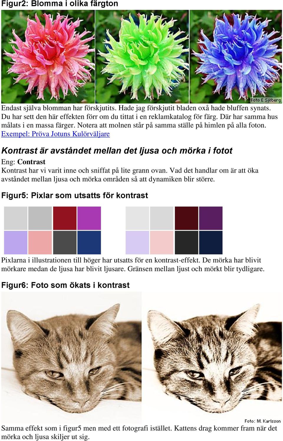 Exempel: Pröva Jotuns Kulörväljare Kontrast är avståndet mellan det ljusa och mörka i fotot Eng: Contrast Kontrast har vi varit inne och sniffat på lite grann ovan.