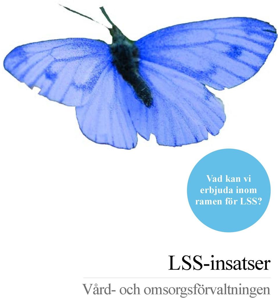 LSS-insatser Vård-