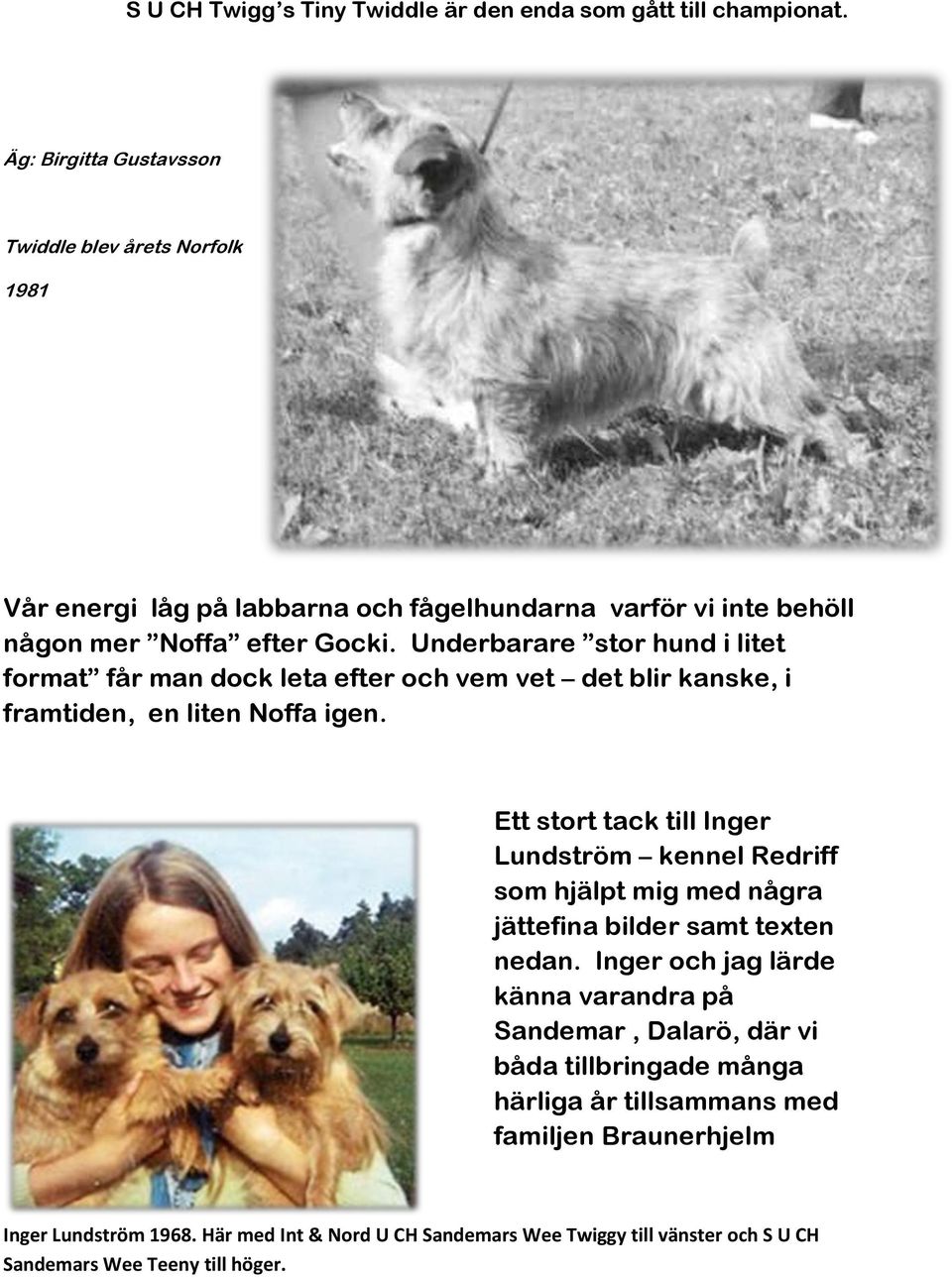 Underbarare stor hund i litet format får man dock leta efter och vem vet det blir kanske, i framtiden, en liten Noffa igen.