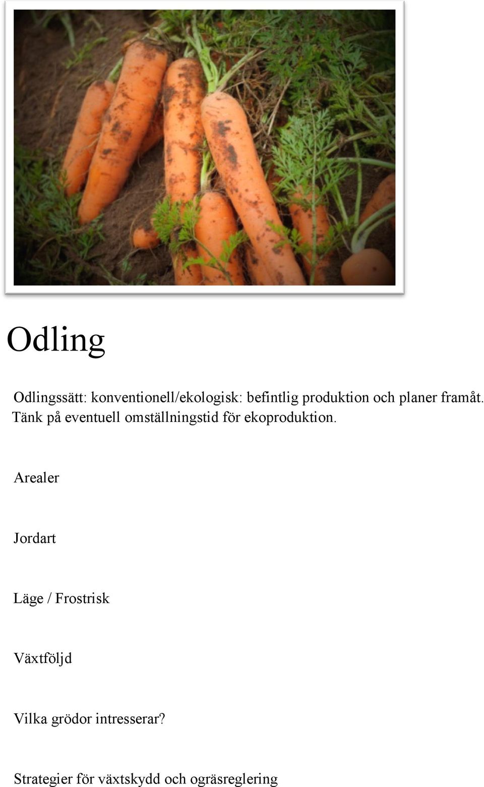 Tänk på eventuell omställningstid för ekoproduktion.