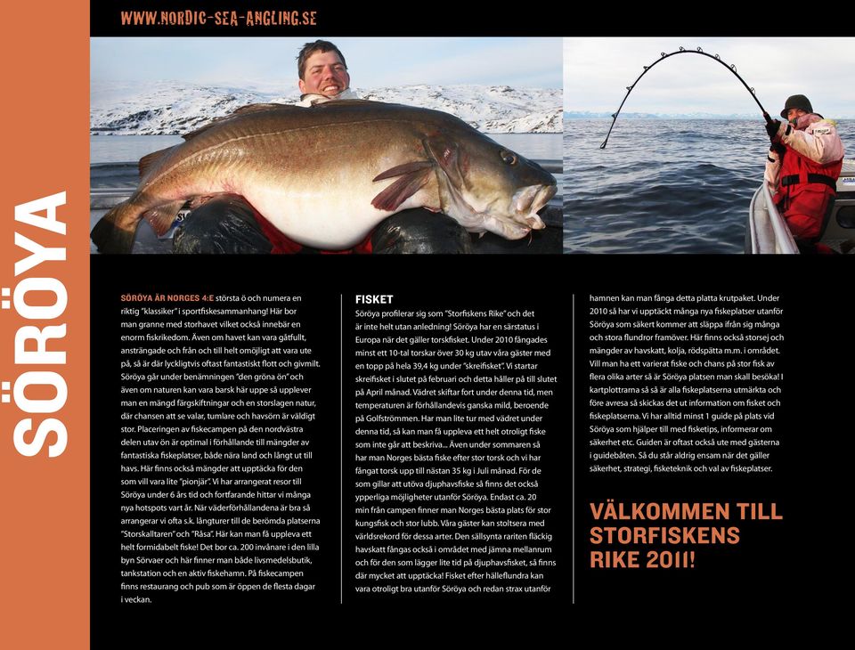 Söröya går under benämningen den gröna ön och även om naturen kan vara barsk här uppe så upplever man en mängd färgskiftningar och en storslagen natur, där chansen att se valar, tumlare och havsörn