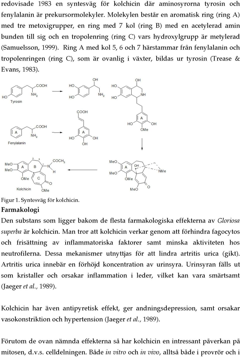 (Samuelsson, 1999). Ring A med kol 5, 6 och 7 härstammar från fenylalanin och tropolenringen (ring C), som är ovanlig i växter, bildas ur tyrosin (Trease & Evans, 1983). Figur 1.