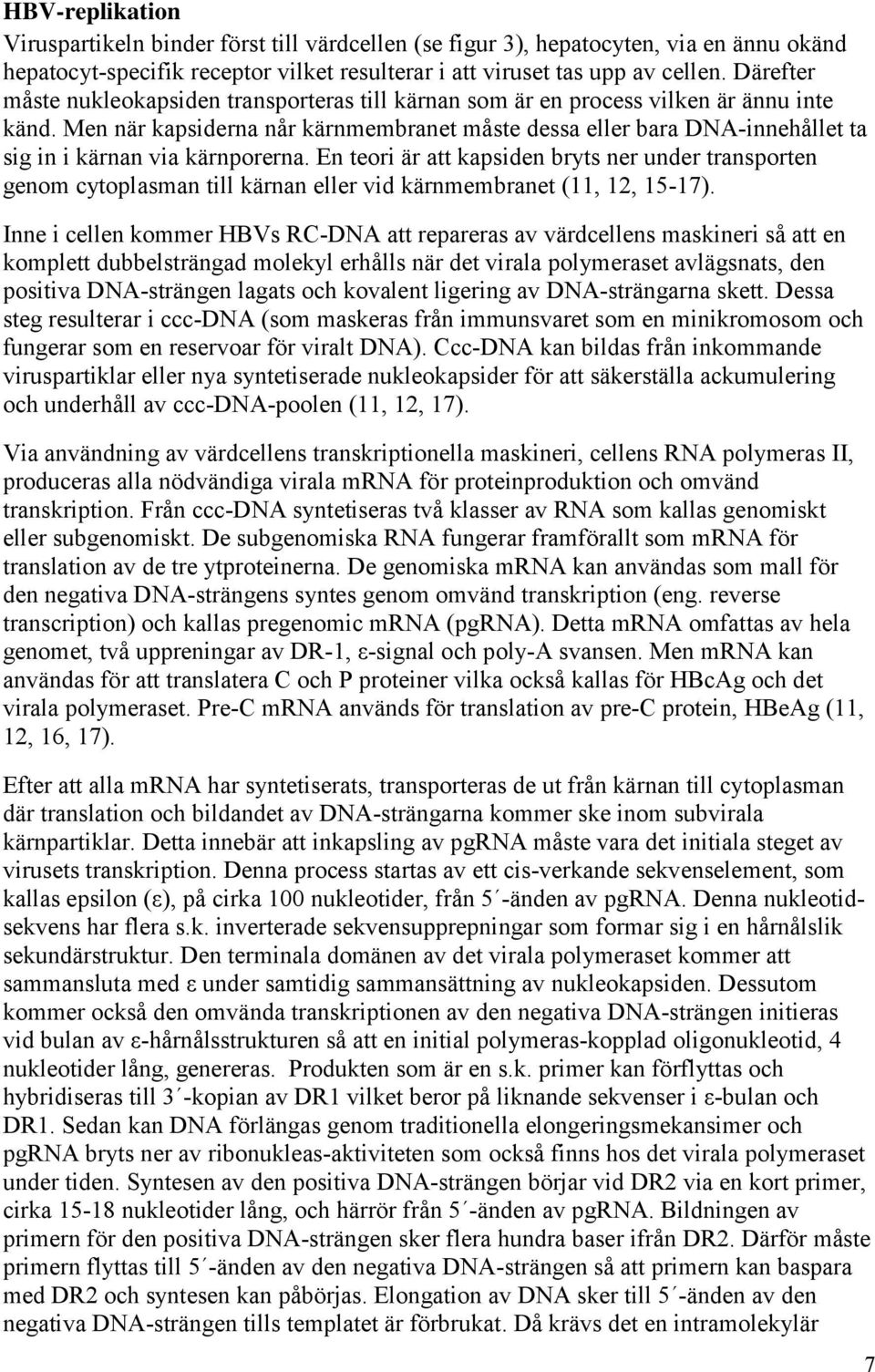 Men när kapsiderna når kärnmembranet måste dessa eller bara DNA-innehållet ta sig in i kärnan via kärnporerna.