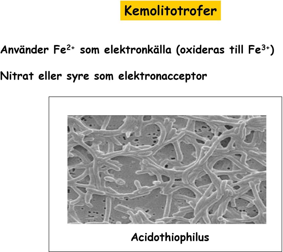 till Fe 3+ ) Nitrat eller syre