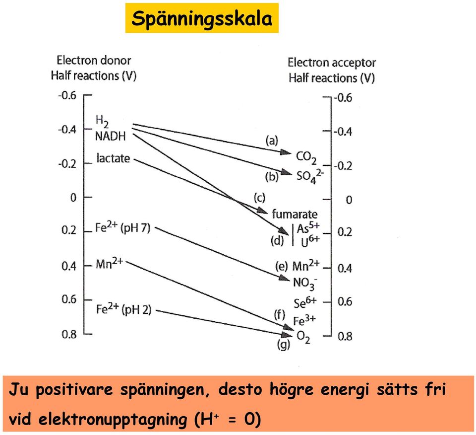 desto högre energi sätts