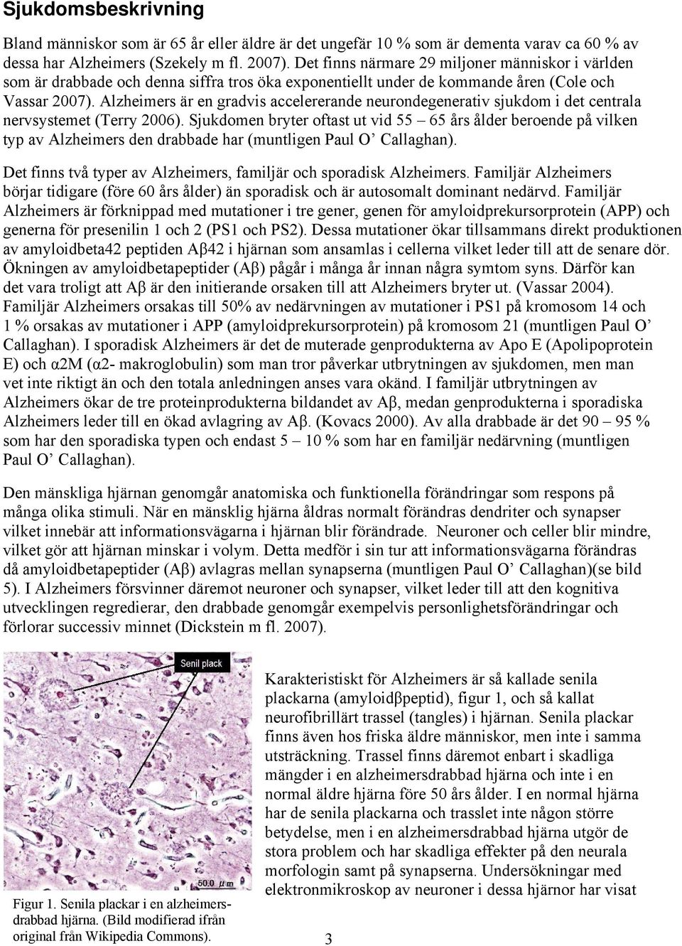 Alzheimers är en gradvis accelererande neurondegenerativ sjukdom i det centrala nervsystemet (Terry 2006).