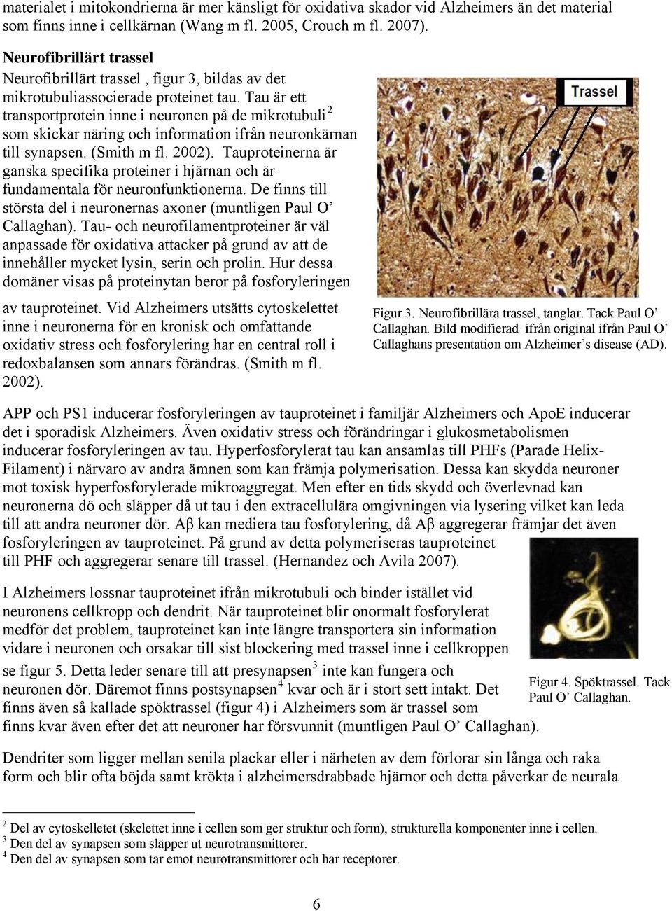 Tau är ett transportprotein inne i neuronen på de mikrotubuli 2 som skickar näring och information ifrån neuronkärnan till synapsen. (Smith m fl. 2002).